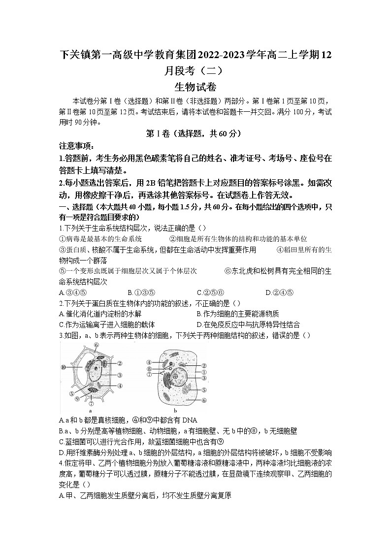 2022-2023学年云南省大理市下关镇第一高级中学教育集团高二上学期12月段考（二）生物学试题（含答案）01