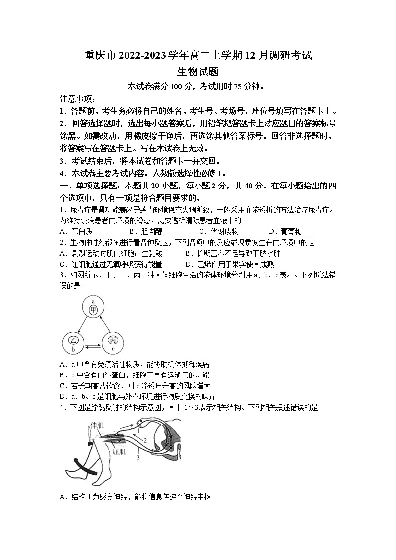 2022-2023学年重庆市高二上学期12月调研考试生物学试题（Word版含答案）第1页