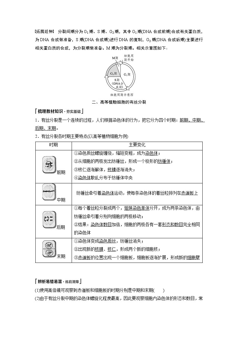 第6章 第1节 第1课时 细胞增殖、细胞周期和高等植物细胞的有丝分裂 试卷03
