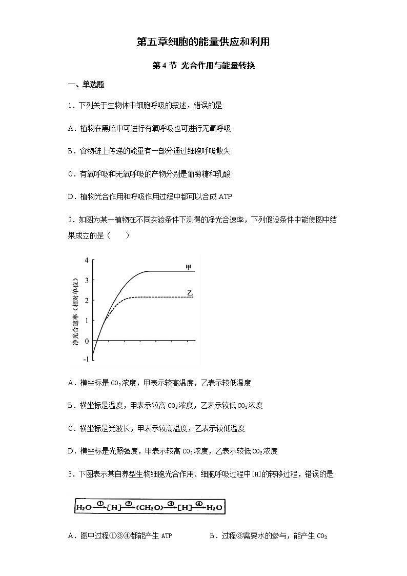 5.4.2 光合作用与能量转换 练习【新教材】人教版（2019）高中生物必修一01