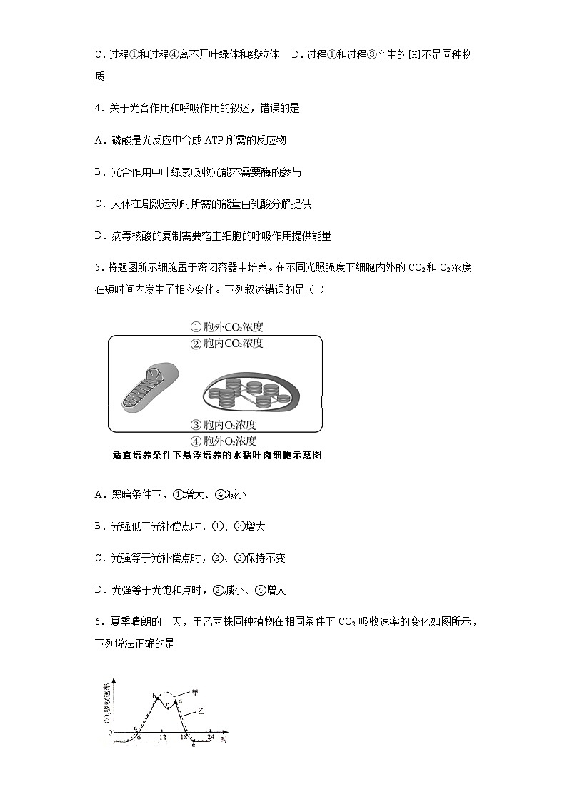 5.4.2 光合作用与能量转换 练习【新教材】人教版（2019）高中生物必修一02