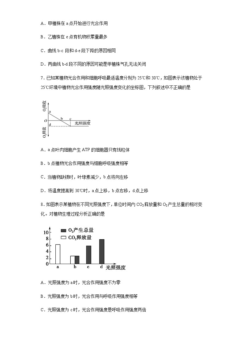 5.4.2 光合作用与能量转换 练习【新教材】人教版（2019）高中生物必修一03