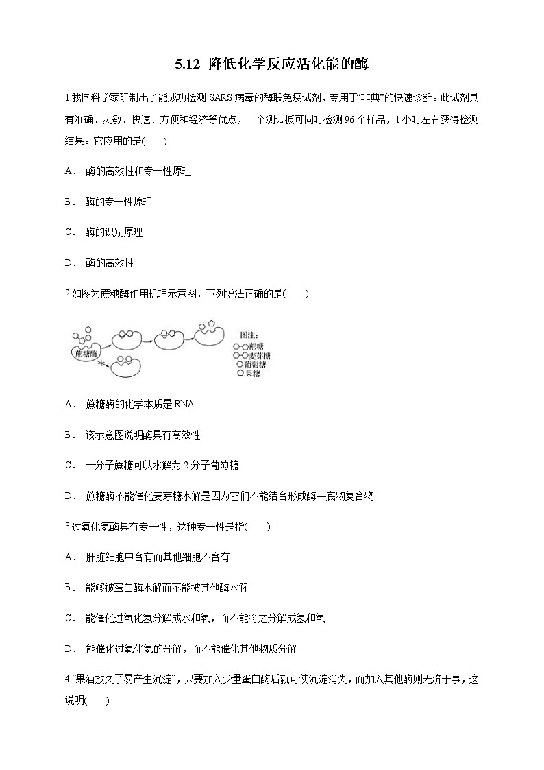 5.1.2 降低化学反应活化能的酶 练习（1）（原卷版）第1页