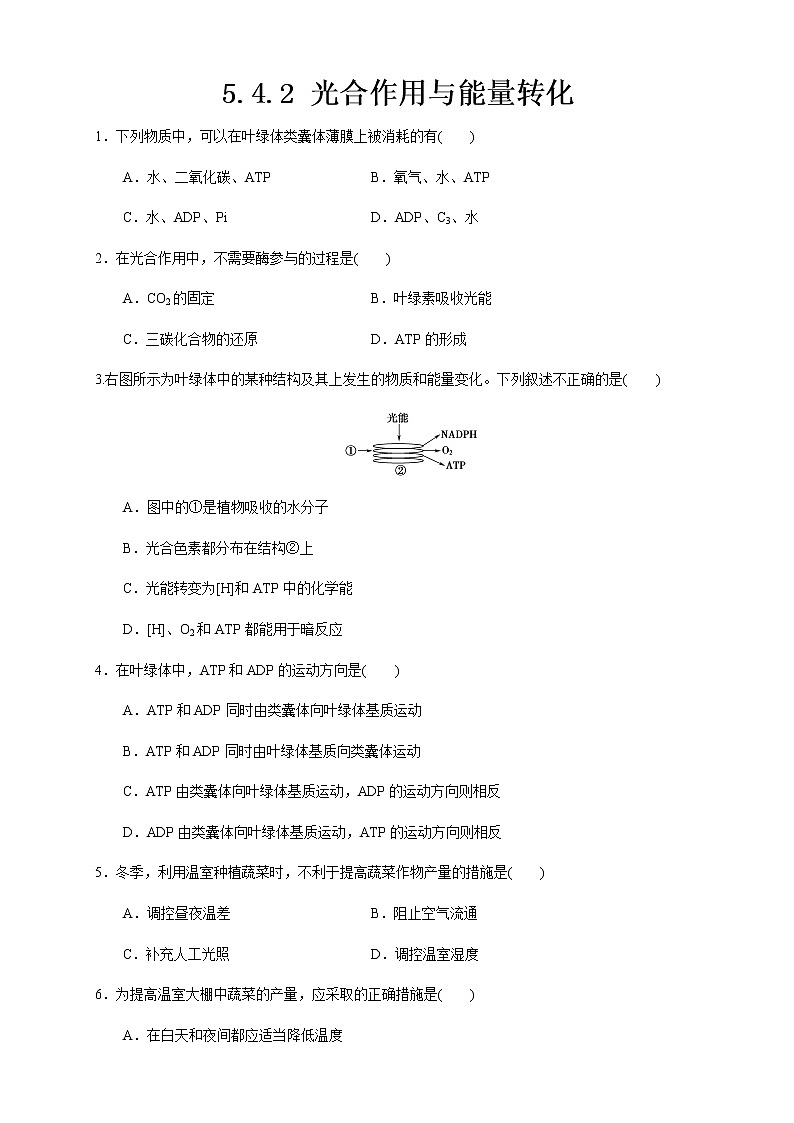 5.4.2 光合作用与能量转化 练习（1）01