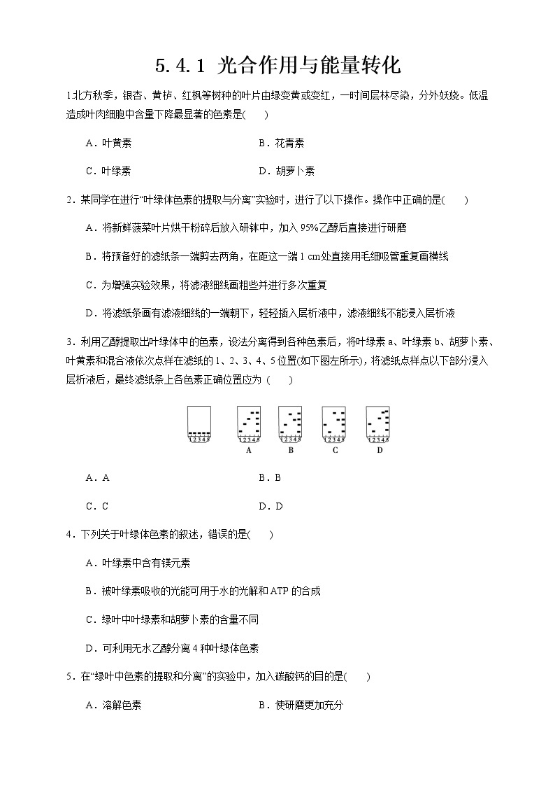 5.4.1 光合作用与能量转化 练习（1）01