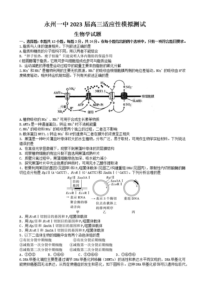 2022-2023学年湖南省永州市第一中学高三上学期元月考试生物试卷Word版第1页