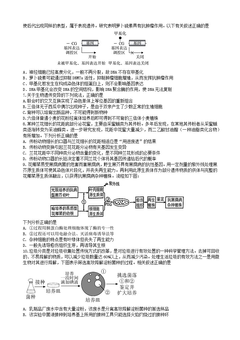 2022-2023学年湖南省永州市第一中学高三上学期元月考试生物试卷Word版第2页