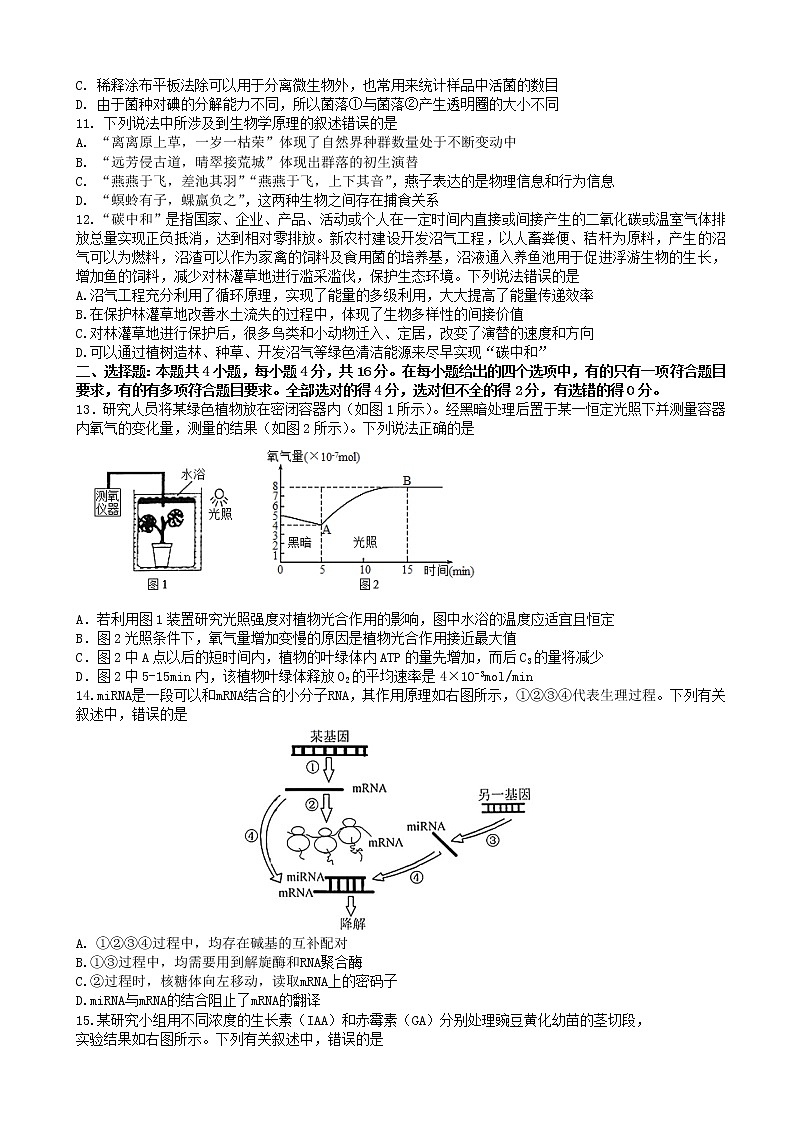 2022-2023学年湖南省永州市第一中学高三上学期元月考试生物试卷Word版第3页