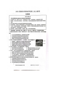 2022-2023学年江苏省新高考基地学校高三上学期12月第三次大联考生物试题 扫描版