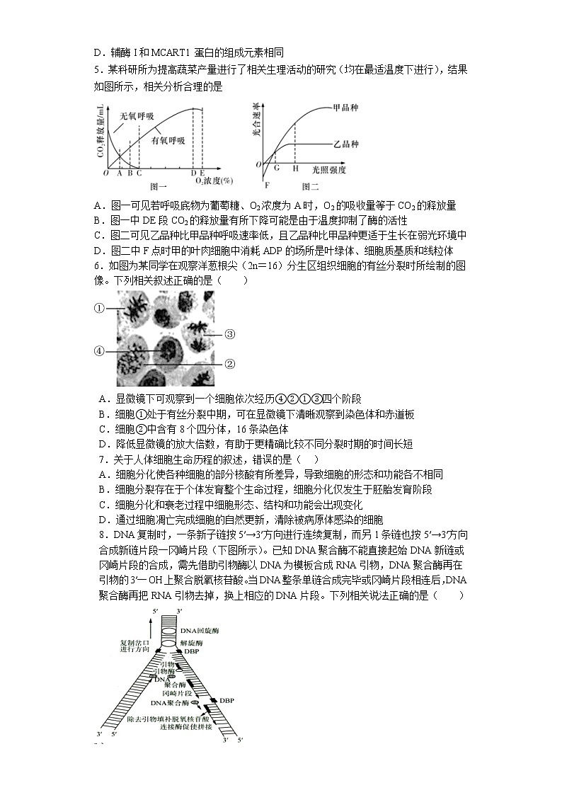 2022-2023学年江苏省盐城市四校高三上学期12月联考生物试卷第2页