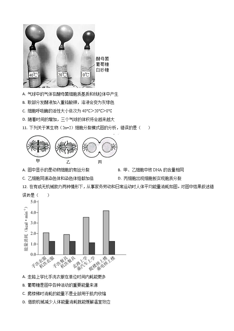 2022-2023学年辽宁省锦州市渤海大学附中高三上学期第二次月考 生物（word版）第3页