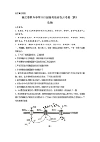 2022-2023学年重庆市第八中学高考适应性月考卷（四）生物试题（解析版）