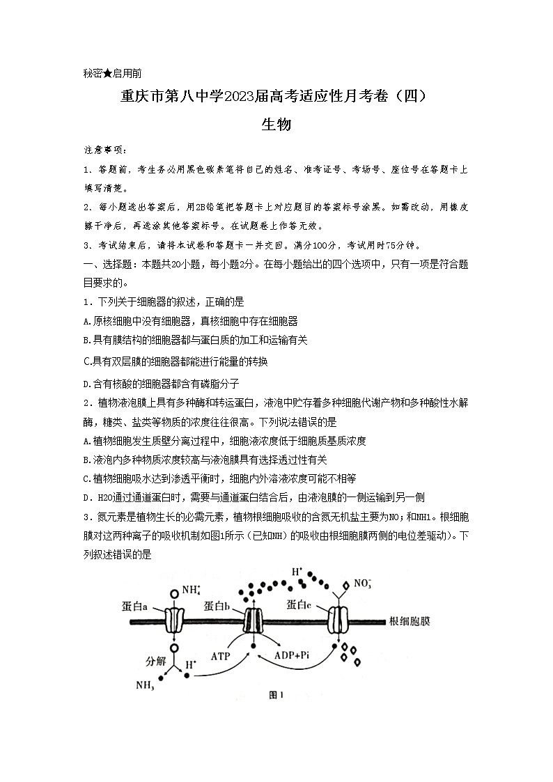 2022-2023学年重庆市第八中学高考适应性月考卷（四）生物试题（解析版）第1页