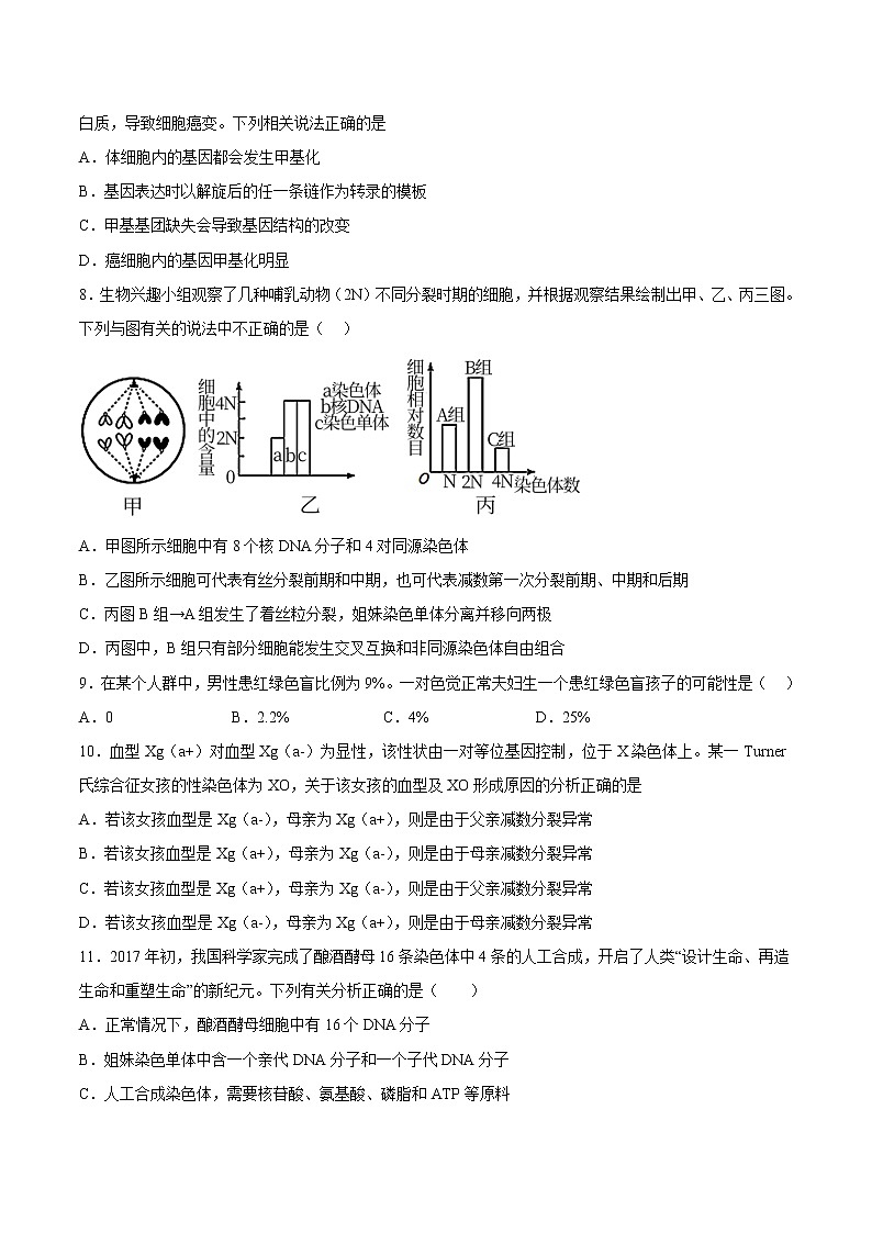 2022-2023学年重庆市第一中学校高三上学期12月月考生物试题 word版03