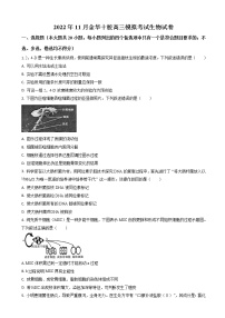 2022-2023学年浙江省金华十校高三上学期模拟考试 生物 （解析版）