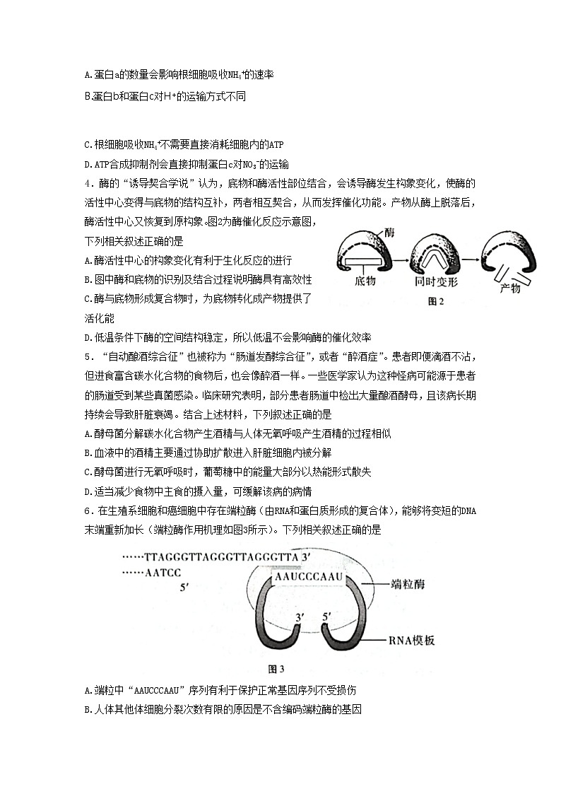 2022-2023学年重庆市第八中学高考适应性月考卷（四）生物试题02