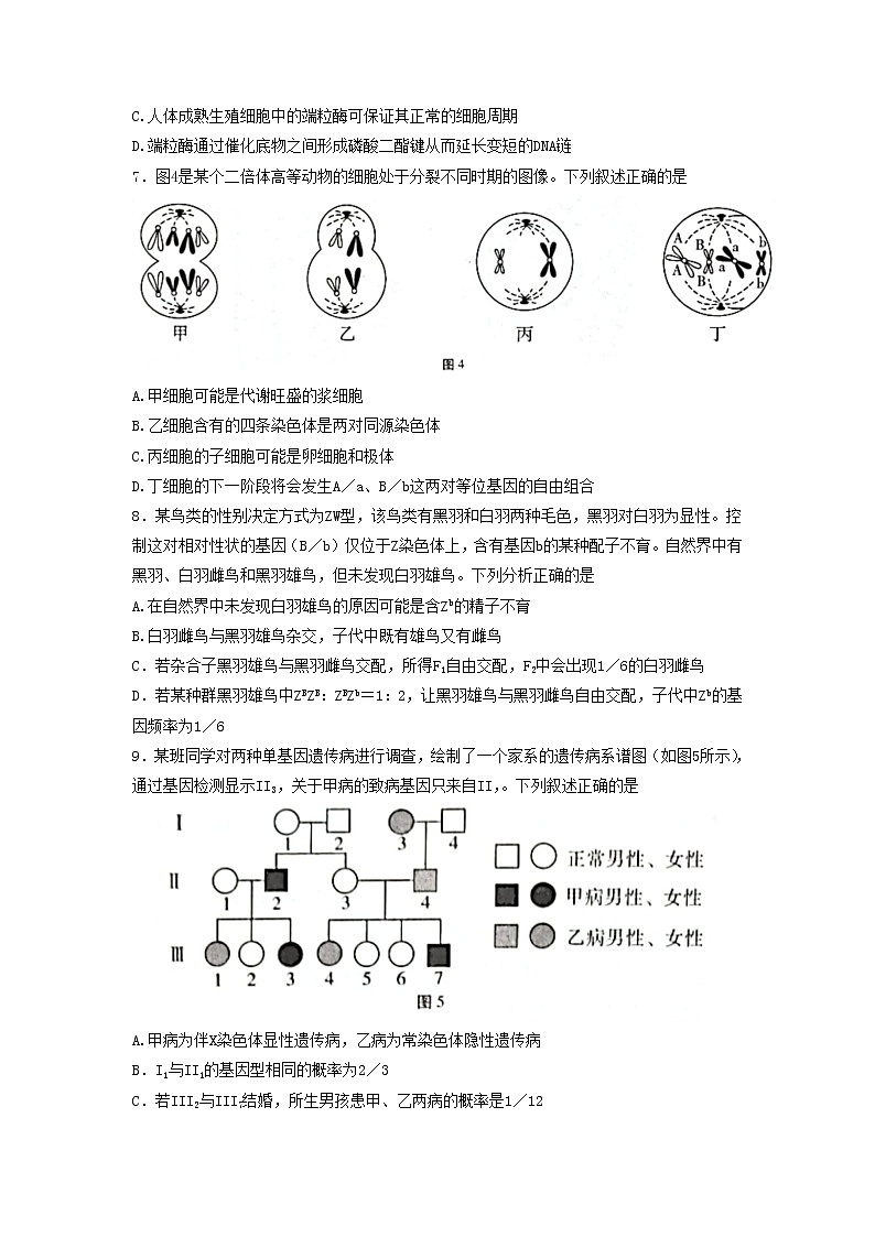 2022-2023学年重庆市第八中学高考适应性月考卷（四）生物试题03
