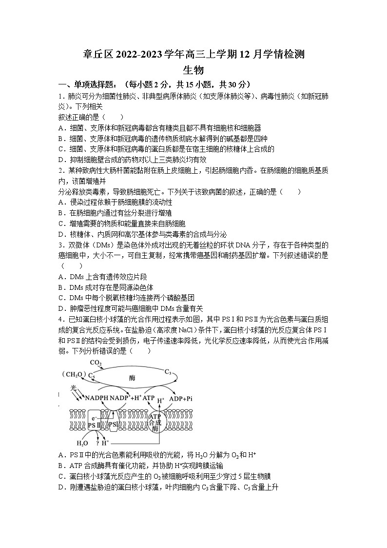 2023届山东省济南市章丘区高三上学期12月学情检测生物学试题（Word版含答案）01