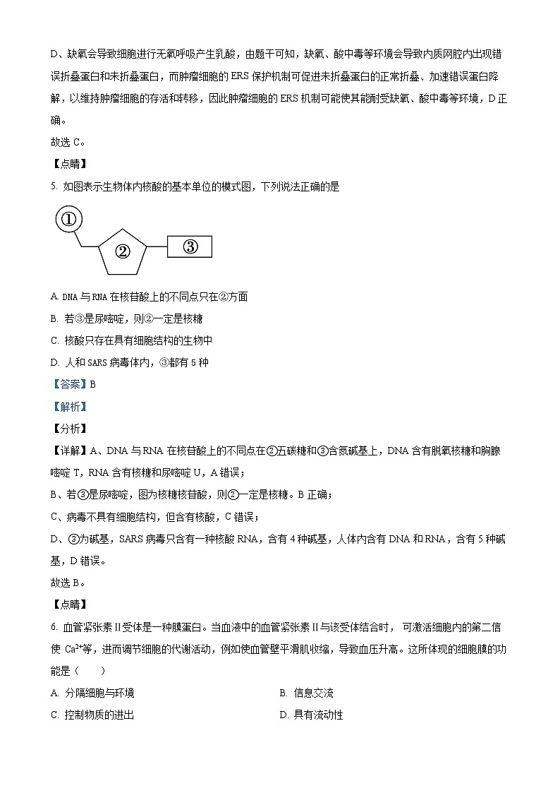 2022-2023学年安徽省淮北市一中高一上学期第三次月考生物试题（解析版）03