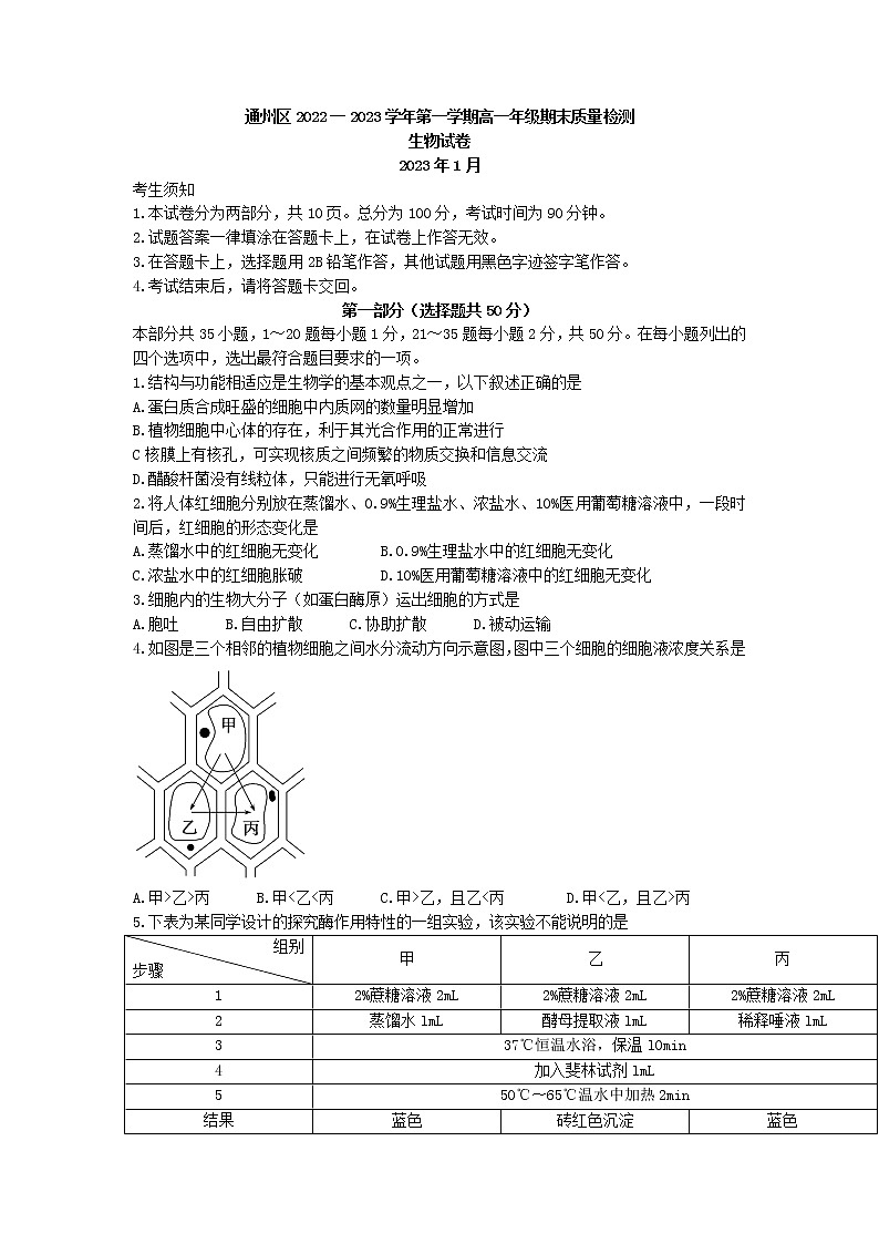 2022-2023学年北京市通州区高一上学期期末质量检测生物学试题（Word版含答案）01