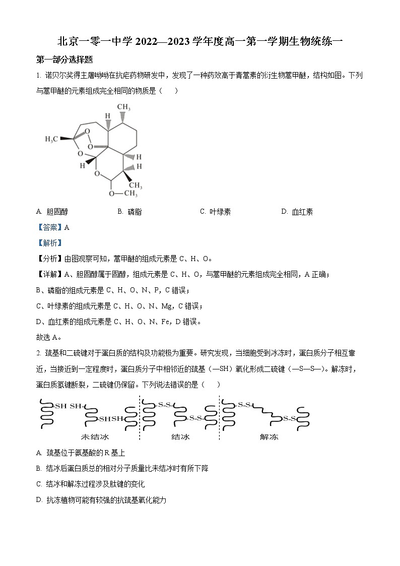2022-2023学年北京市一零一中学高一上学期统练一生物试题（解析版）01