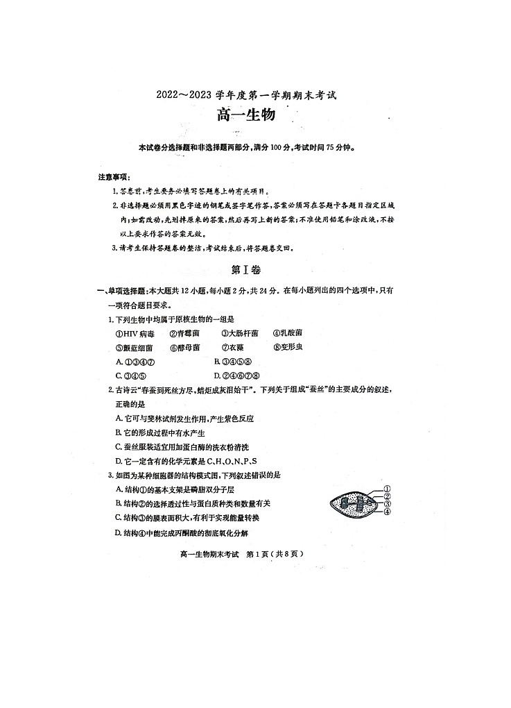 2022-2023学年广东省茂名市电白区高一上学期期末考试生物试题01