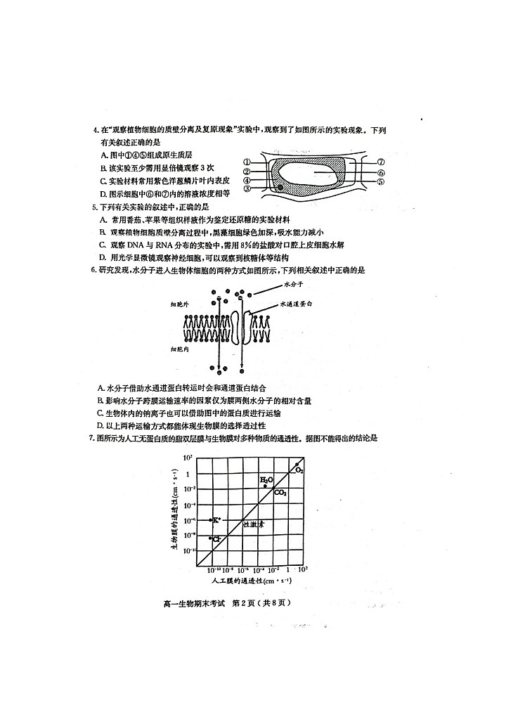 2022-2023学年广东省茂名市电白区高一上学期期末考试生物试题02