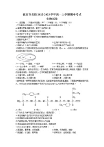 2022-2023学年河北省沧州市任丘市名校高一上学期期中考试生物学试题（Word版含答案）