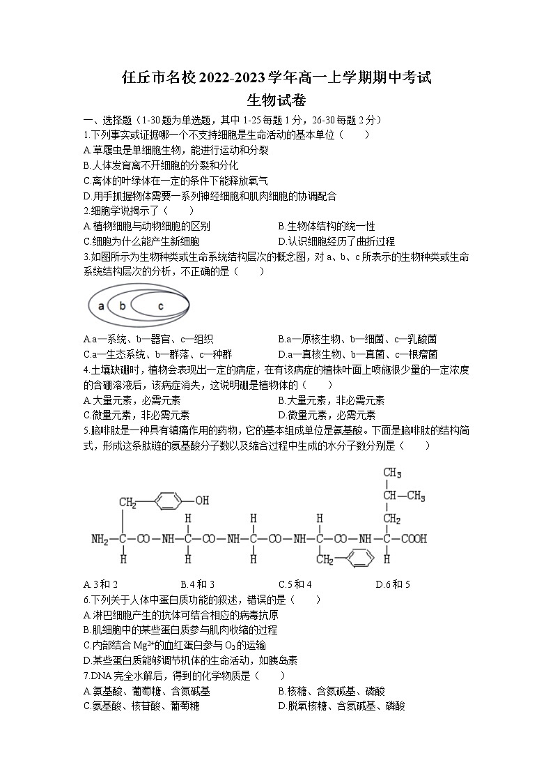 2022-2023学年河北省沧州市任丘市名校高一上学期期中考试生物学试题（Word版含答案）01