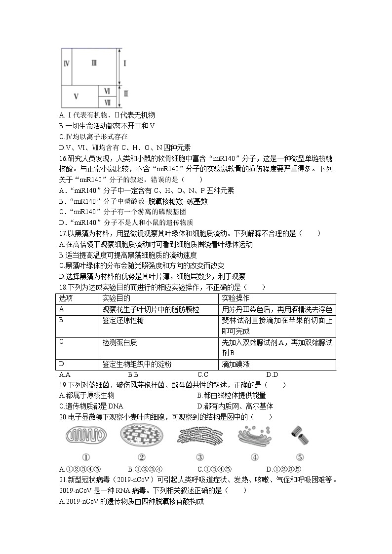 2022-2023学年河北省沧州市任丘市名校高一上学期期中考试生物学试题（Word版含答案）03