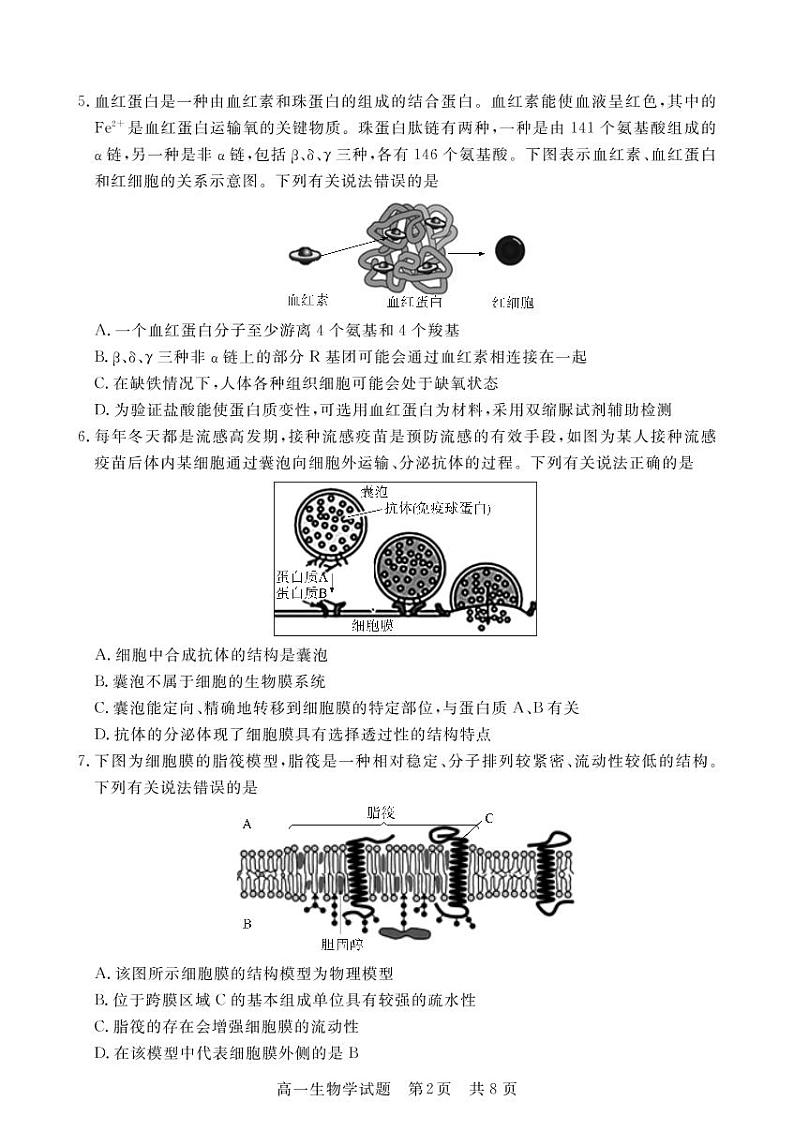 2022-2023学年湖北省荆州市八县市高一上学期期末联考生物试题  PDF版第2页