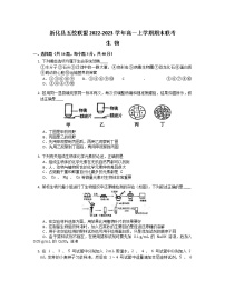 湖南省娄底市新化县五校联盟2022-2023学年高一上学期期末联考生物试题（有答案）