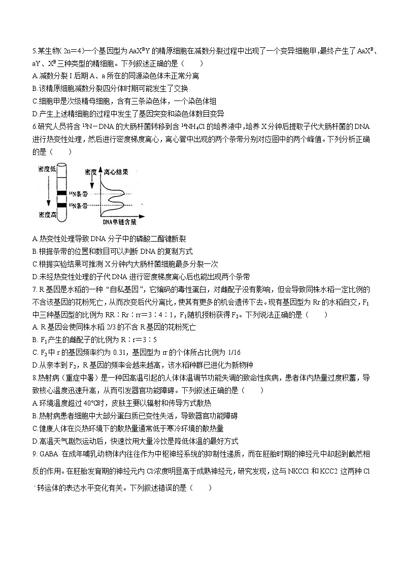 2023烟台高三上学期期末学业水平诊断生物无答案 试卷02