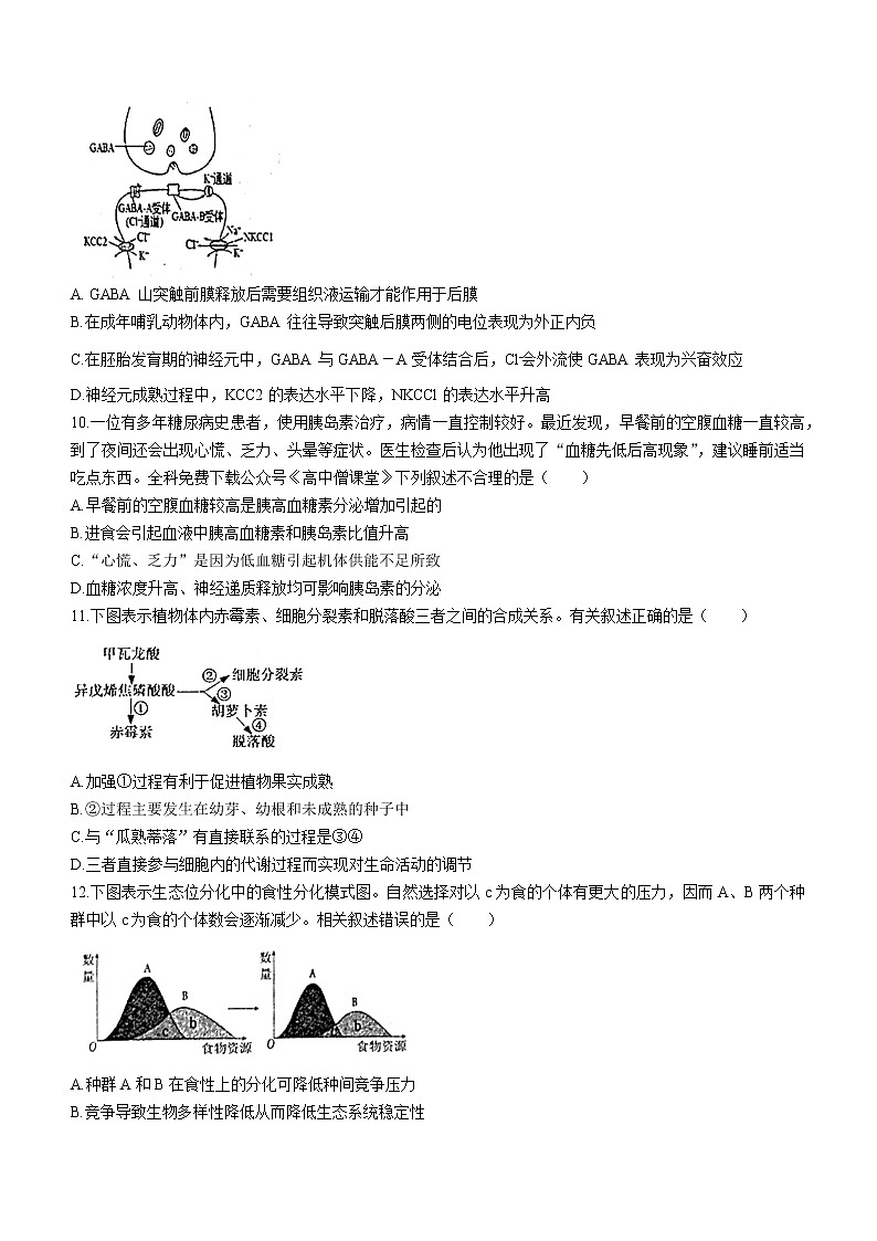 2023烟台高三上学期期末学业水平诊断生物无答案 试卷03