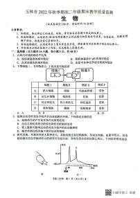 2023壮族自治区玉林高二上学期期末考试生物试题PDF版含答案