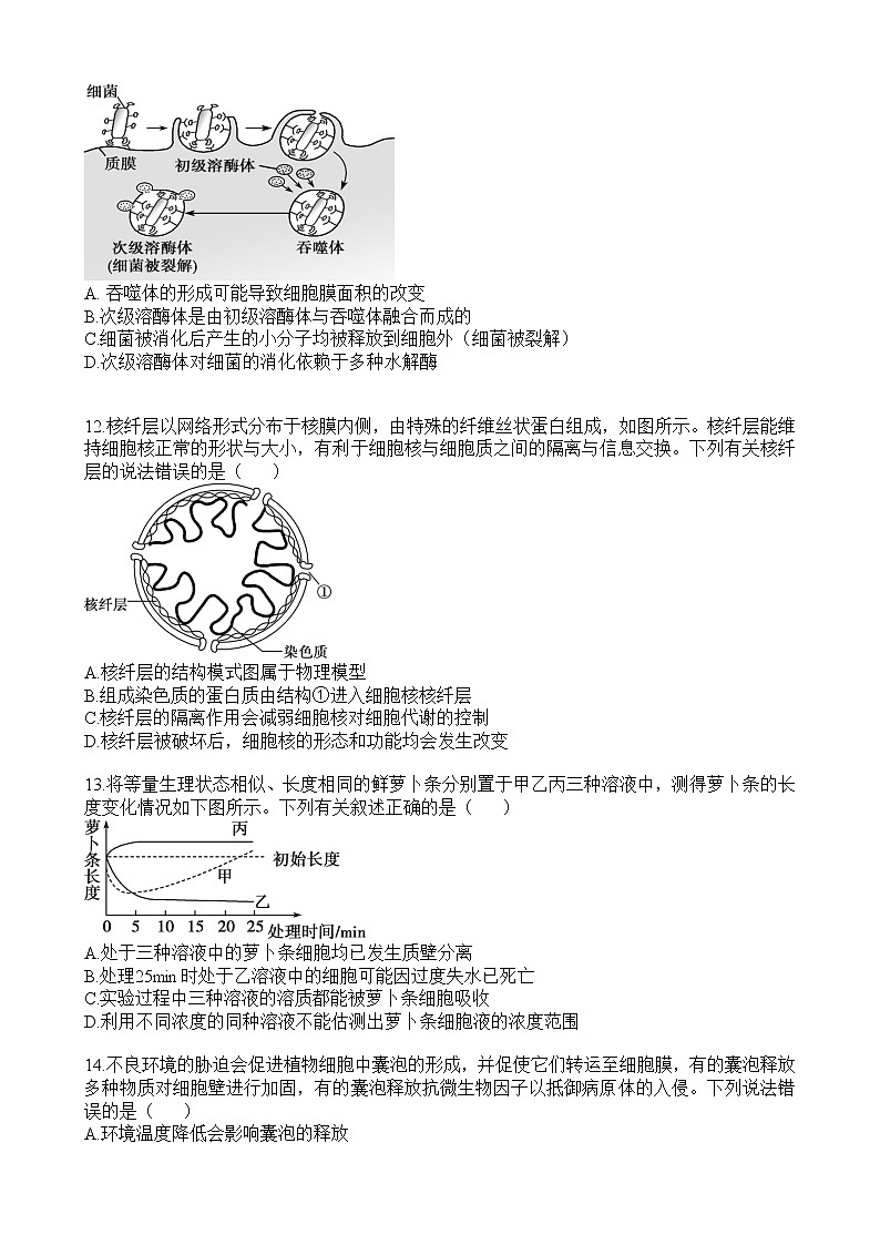 2023湖北省部分重点中学高一上学期期末联合考试生物试题含答案03