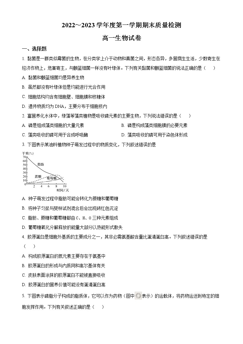 2023武汉江岸区高一上学期期末生物试题含答案第1页