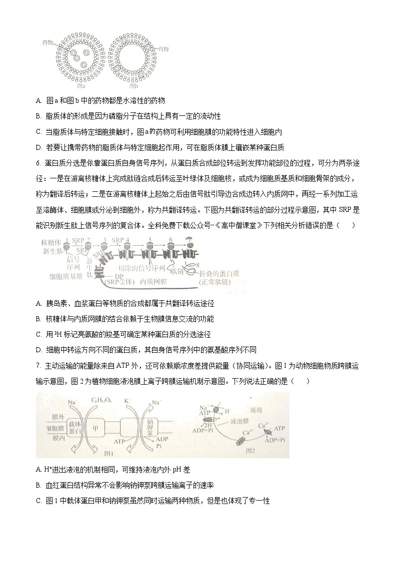 2023武汉江岸区高一上学期期末生物试题含答案第2页