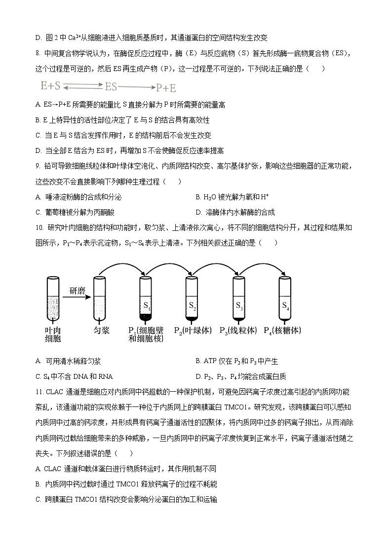 2023武汉江岸区高一上学期期末生物试题含答案第3页