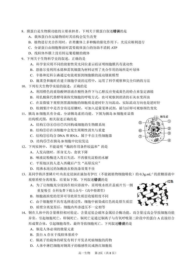 江苏省徐州市等3地2022-2023学年高一上学期期末考试生物试卷PDF版无答案第2页