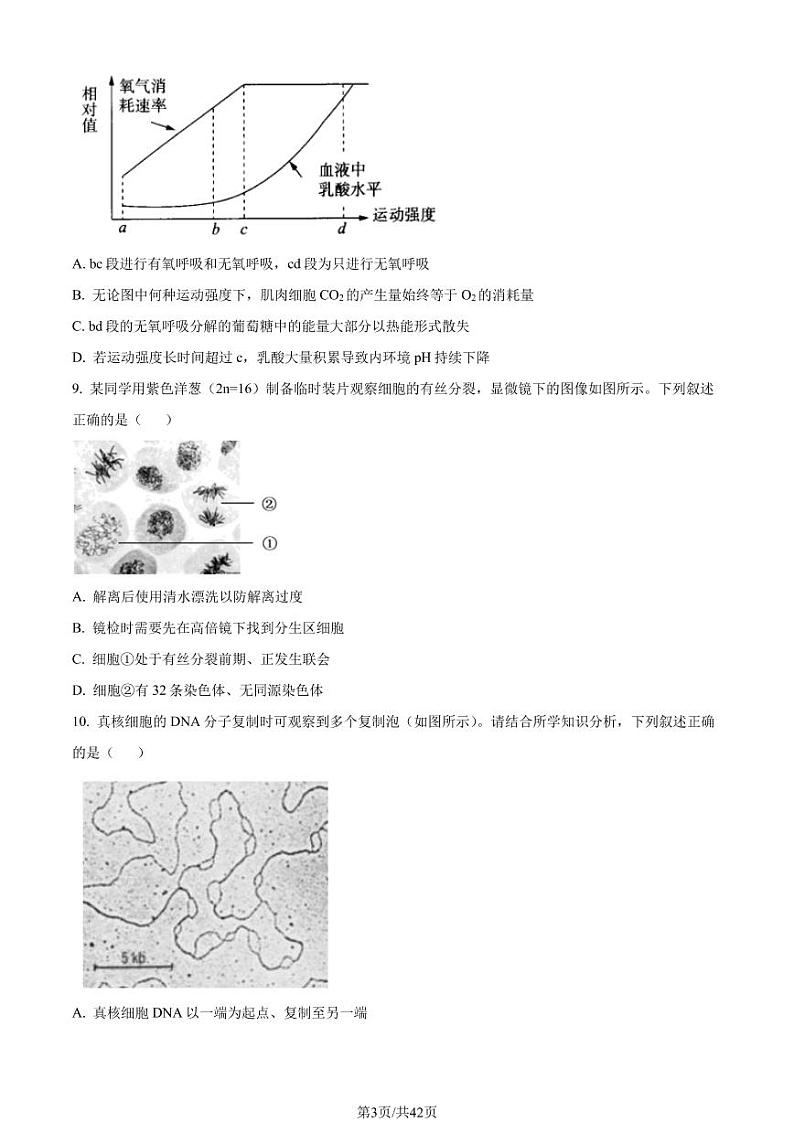 2023年北京清华附中高二上学期期末生物试题及答案03