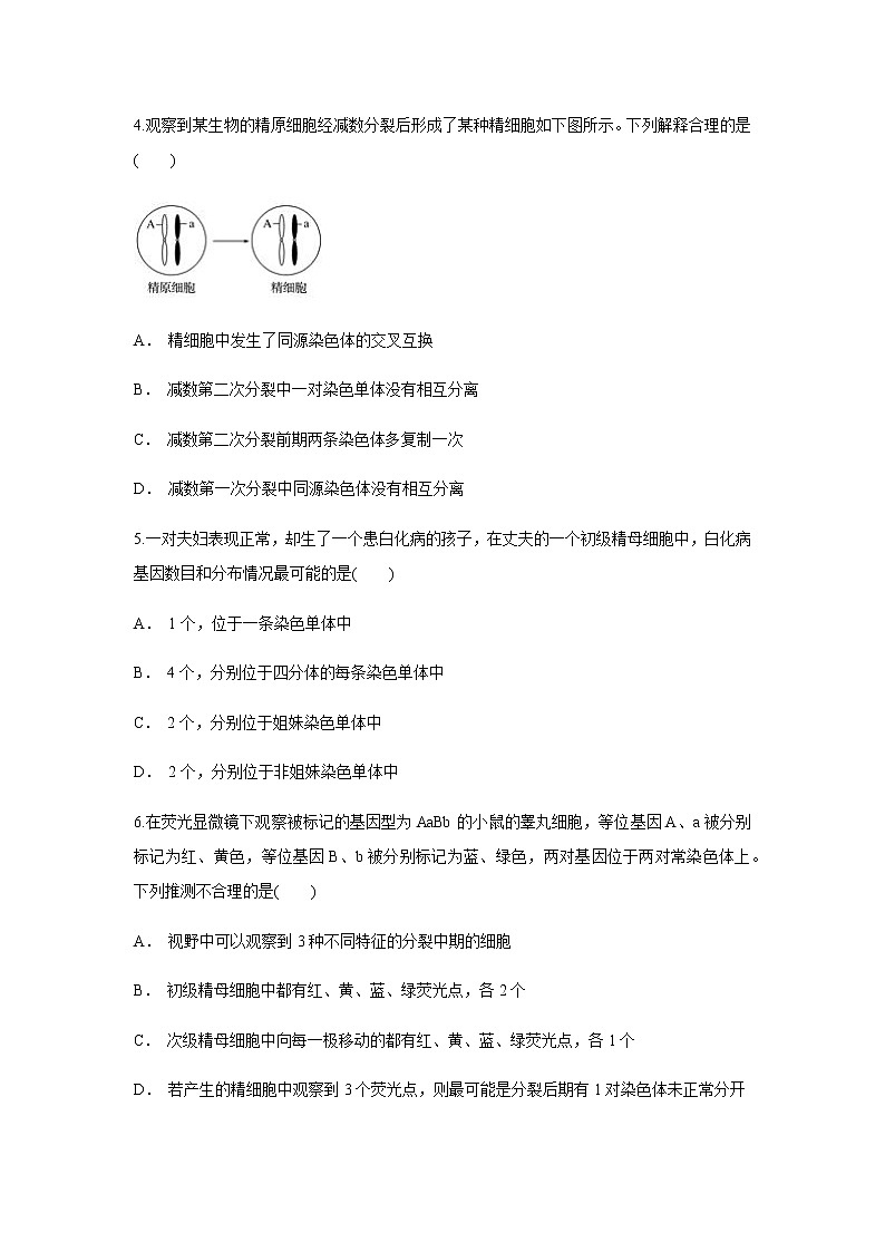 【新教材精创】2.1.1 减数分裂与受精作用 练习（1）（原卷版）第2页