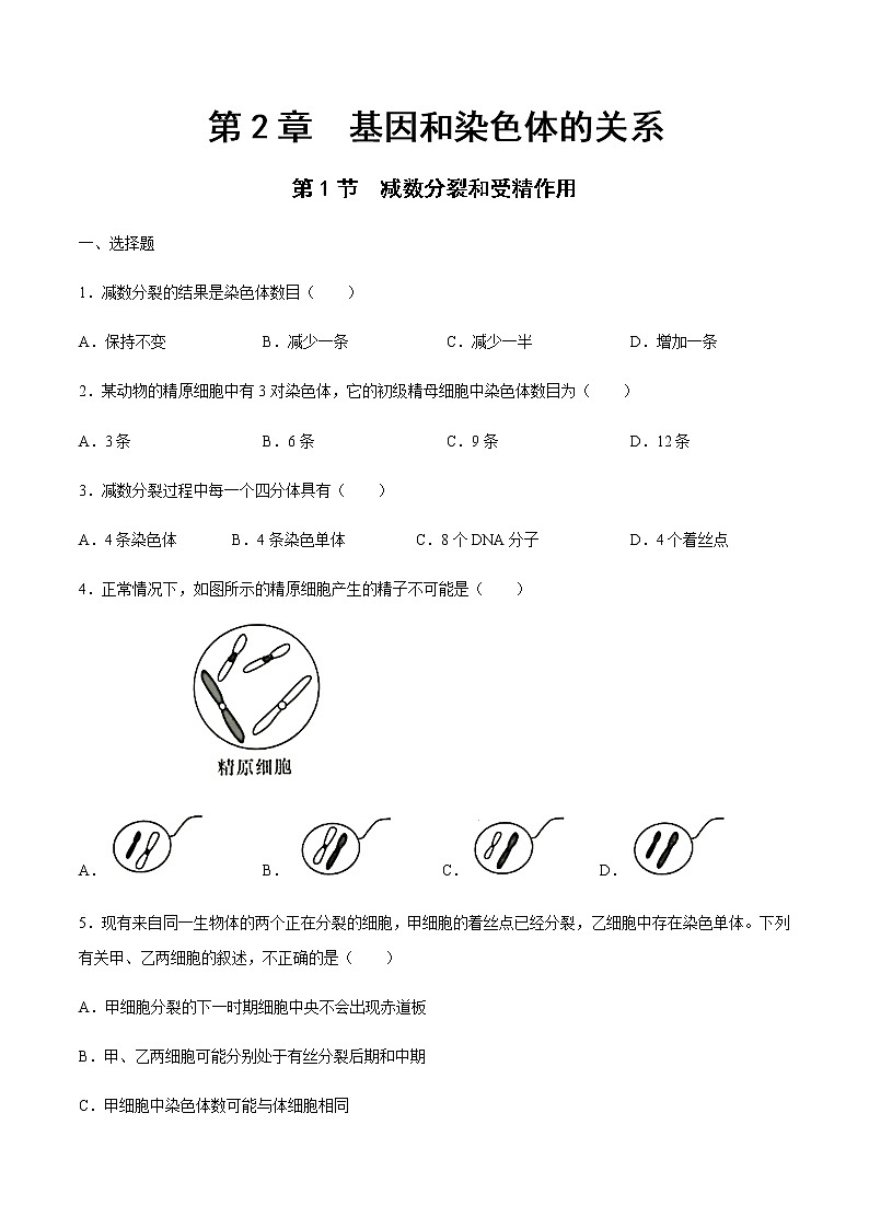 【新教材精创】2.1.1 减数分裂和受精作用 练习（2）-人教版高中生物必修2遗传与进化01