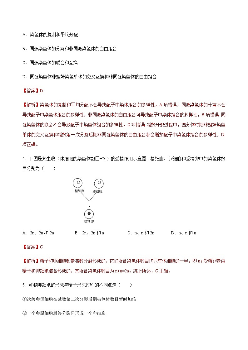 【新教材】2.12 减数分裂和受精作用 练习（2）（解析版）第2页