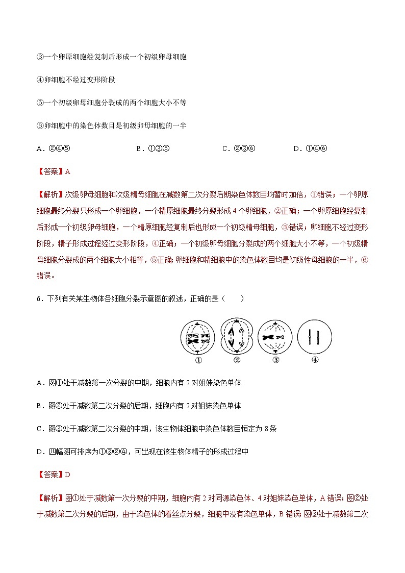【新教材】2.12 减数分裂和受精作用 练习（2）（解析版）第3页