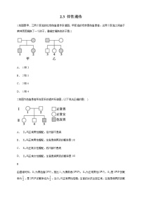 生物第2章 基因和染色体的关系第3节 伴性遗传优秀课时作业