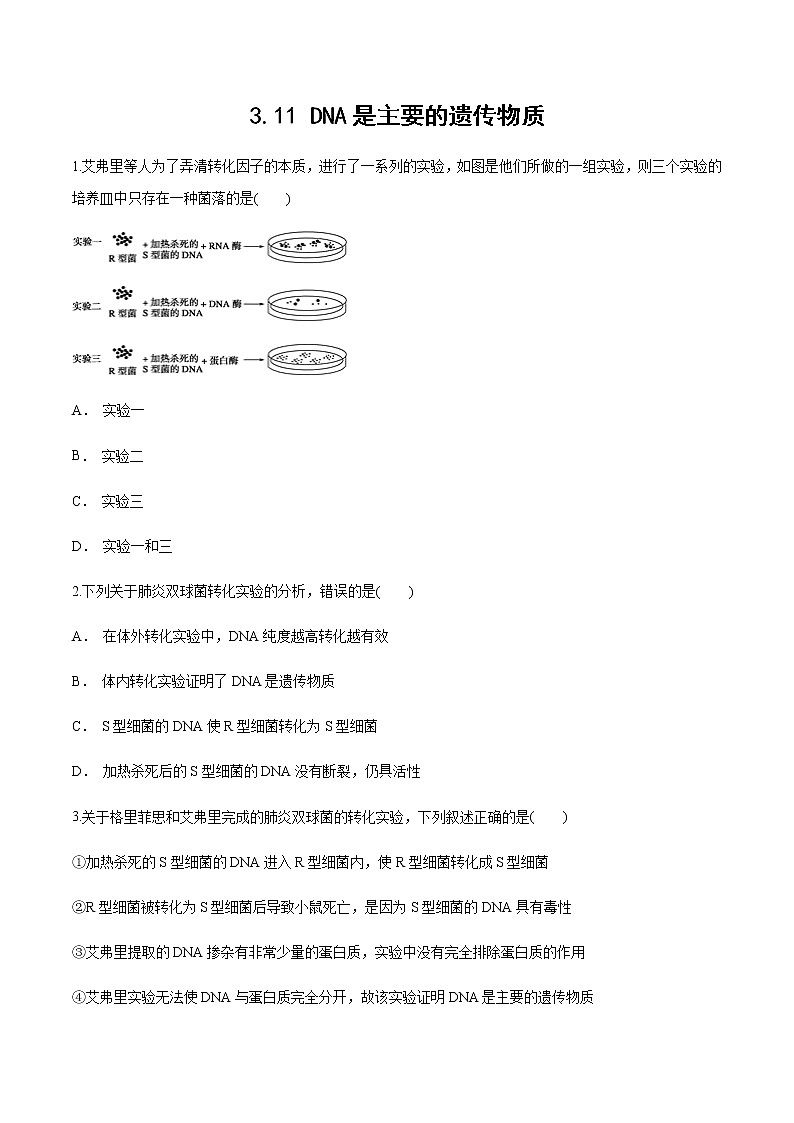 【新教材】 3.11 DNA是主要的遗传物质 练习（1）（原卷版）第1页