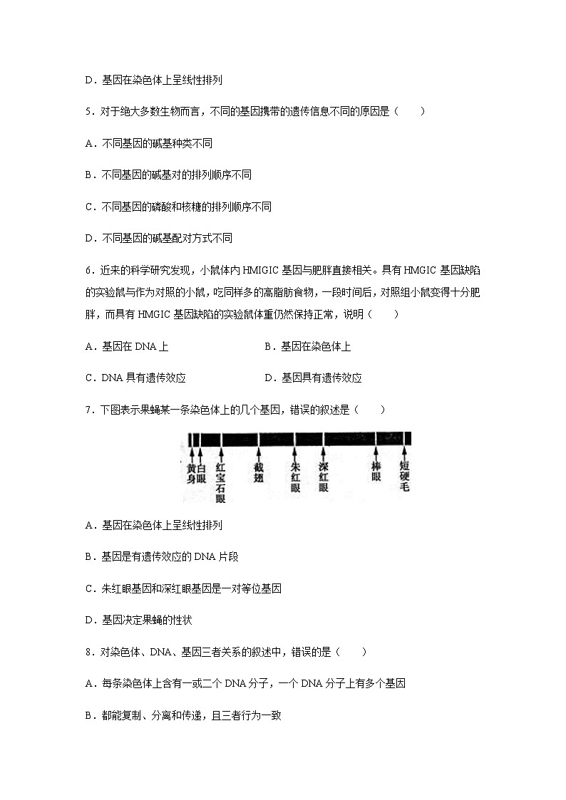 【新教材精创】3.4 基因通常是有遗传效应的DNA片段 练习（2）（原卷版）第2页