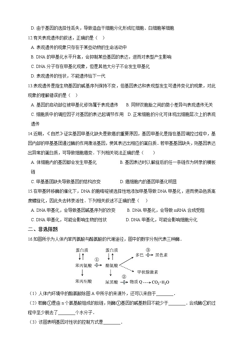 4.2基因表达与性状的关系同步练习（含解析）第3页
