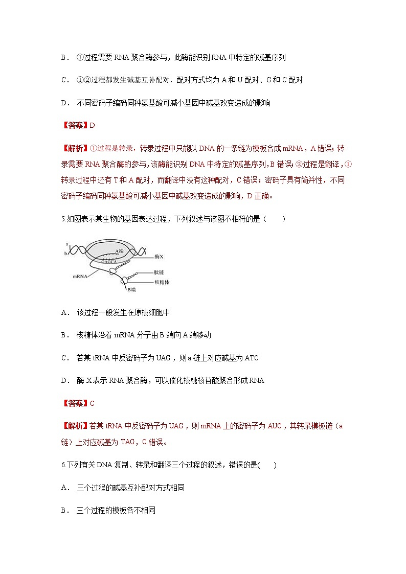 【新教材精创】4.1.2 基因指导蛋白质的合成 练习（1）-人教版高中生物必修2遗传与进化03